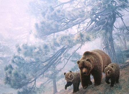 Grizzly - hill, trees, teaching, wild wilderness, cubs, bears, hunt, wandering, big, dangerous, mother, grizzlies