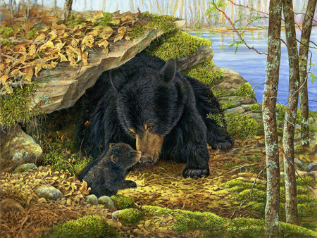 Momma Bear - trees, cub, wilderness, freedom, beauty, affection, bears, leaves, black, nature, autumn, view, mother, lake, wild