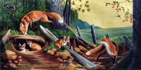 Summer Foxes - trees, cover, water, field, activity, father, frolicking, fence, den, logs, mother, summer, nature, foxes, turtle, wild, skunk, pups