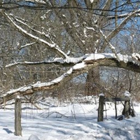 Snowy Lazy River