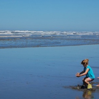 Ocean Shores