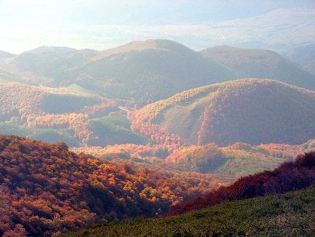 Balkan's Autumn - trees, photography, colors, forest, photo, mountain, tree, top, colours, fall, forests, nature, autumn, peak, sky, bulgaria