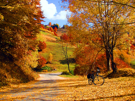 Autumn near Monastery Village, Rhodope - sunny, forest, photo, leaves, mountain, bike, falllen, sky, trees, beautiful, photography, road, beauty, colors, tree, street, fall, colours, nature, autumn, bulgaria