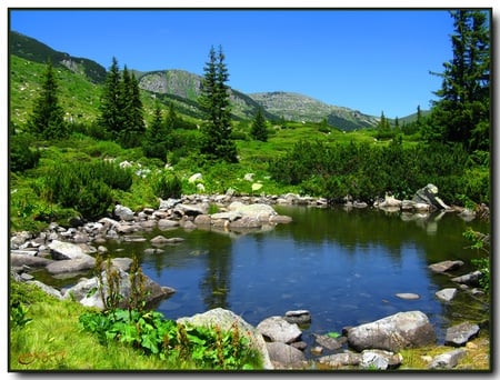 East Rila Mountain - lake, sky, mountain, trees, photography, water, bulgaria, rocks, nature, evergreen, reflection, green, tree, photo