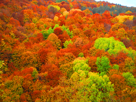 Rhodopes Mountain - autumn, mountain, trees, photography, bulgaria, nature, fall, forest, colours, colors, photo