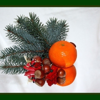 Christmas still life