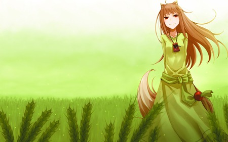 Spice and Wolf - wolf, holo, horo, spice and wolf, green