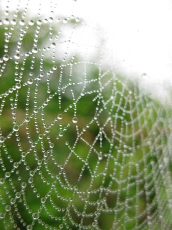 Spyder made diamonds Ornament - nepal, nature, palpa, mountains, tansen