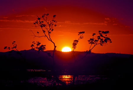 Sunrise - beauty, morning, sky, landscape, background, sun, water, black, gold, nature, yellow, reflection, clouds, red, tree, sunrise