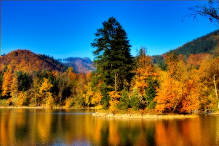 Amazing Autumn - beautiful, leaves, blue, lake, sky, photography, tree, nature, autumn