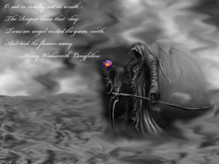 reaper - reaper, death, black, quote, cloak, dark, grey, cape, flower