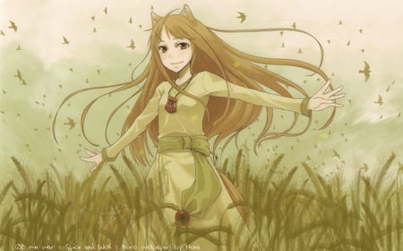 Spice and Wolf