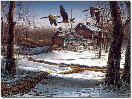 Flight Of The Canadian Geese - birds, snow, canadian, shovel, flight, house, geese, trees, winter, fields, pail, cold, quite, sap, maples, country, peaceful