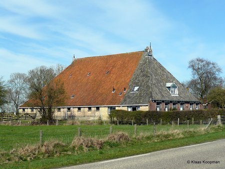 Frisian Farm House - roof, farm house, red, road, farm, tree, sky, pastureland