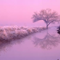 pink winter