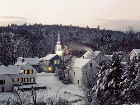 winter town - pretty, trees, winter, snow, landscape, scenic, white, nature, cold, houses