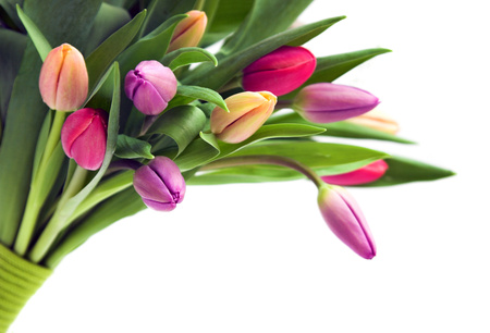 tulips - vase, elegant, beautiful, photography, photo, cool, flower, bouquet, tulip, harmony, flowers, tulips, nice