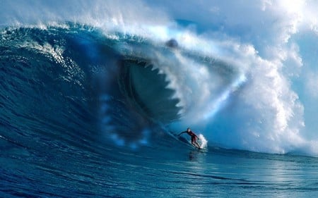 The dead is behinde you - water, shark, surf, water shark