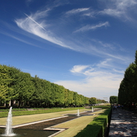 Showa Memorial Park