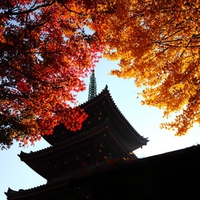 Beautiful autumn colors Japan