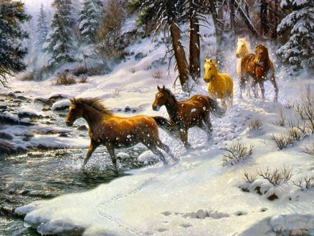 winter run - horses, trees, snow, winter, snowflakes, creek, run