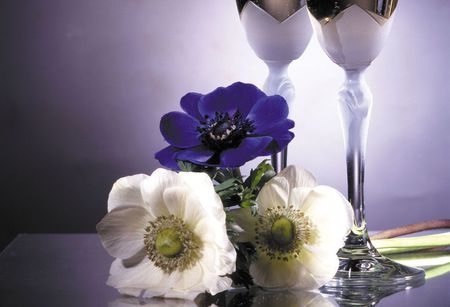 Something Special - elegant, glass ware, setting, stems, table, still life, tall, flowers, white, purple, silver