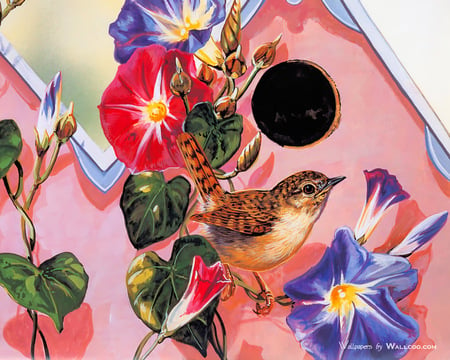 The Little Wren - buds, morning glory, song, singer, reds, showy, bird, nature, pink, blue, house, flowers, wren, purples