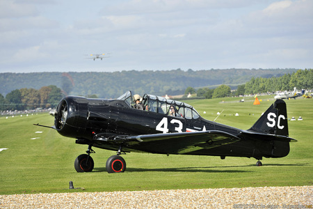 Bearcat - bearcat, plane, airplane, black