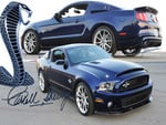 Super Snake