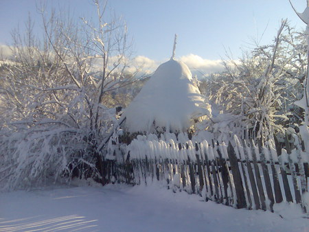 Beautiful winter day - snow, blue sky, winter, sun