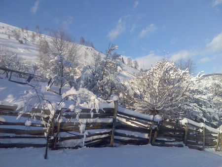 hill, snow, trees, blue sky, beautiful - hill, trees, beautiful, snow, blue sky