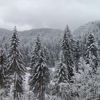 clouds, snow, trees, house in the mountains, beautiful