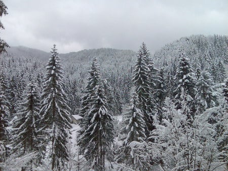 clouds, snow, trees, house in the mountains, beautiful - clouds, trees, beautiful, snow, house in the mountains