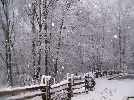 A Winter's Day - winter, fence, path, snow