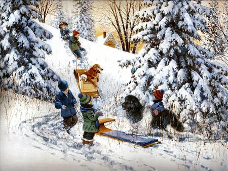 dog sledding - fun, sky, pinetrees, winter, children, snow, dogs, boys, sled