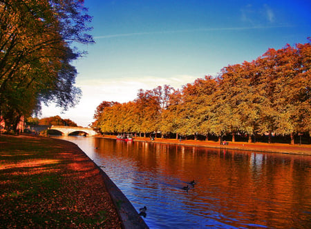 Evesham Abbey, Worcestershire, England - reflections, sky, autumn, england, trees, abbey, river, leaves