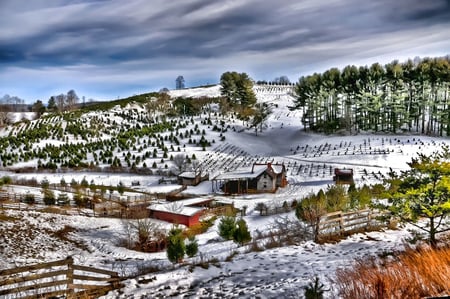 Abandoned farms - winter, farm, landscape, snow