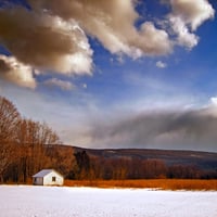 Winter landscape