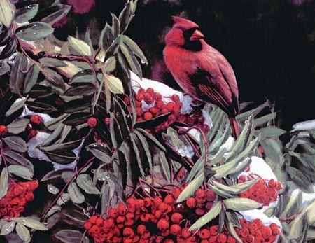 crimson - songbird, leafs, branch, redberries, snow, tree