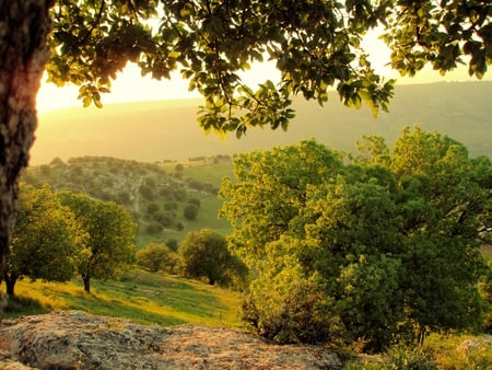 A Sunset over the Jordan - ajloun, trees, hills, ajlon, jordan, grass, sunset, mountains, oak