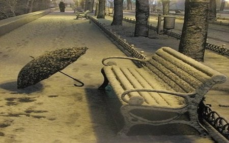 Nobody - trees, winter, alley, snow, sesons, night, ice, frozen, umbrella, nature, cold, bench, park