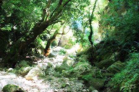 GreenDay - nature, green, syria, tree