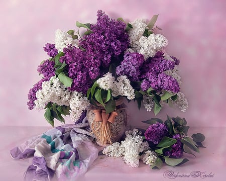 still life - vase, beautiful, photography, lilac, photo, cool, flower, pashmina, still life, harmony, flowers, white, scarf, purple, nice, bunch