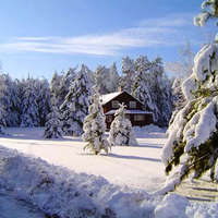 Winter Sunshine