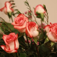 orange-red roses bouquet