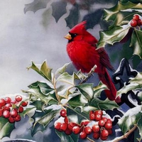 Cardinal