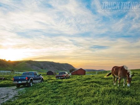 Trucks - dodge, ford, horse, trucks