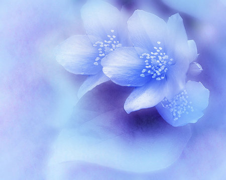 The Depth Of My Soul - blue, beautiful, digital, fantasy, flower