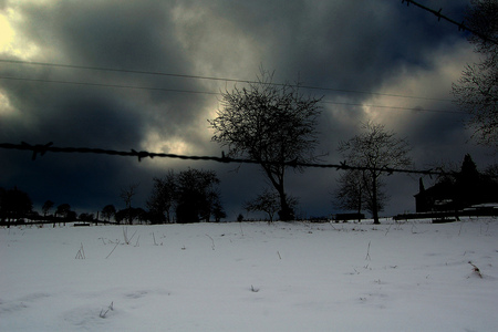 Whirling winter sky - ice, whirling, sky, trees, winter, black, sesons, nature, white, cold, snow, clouds, frozen