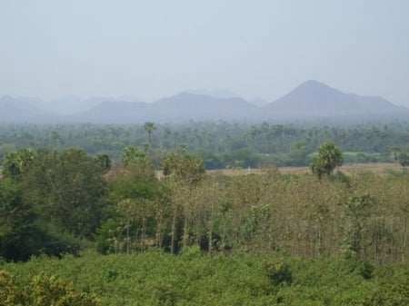 Trees of hills - green, abstract, hills, trees